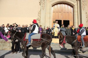 Festa dels Tonis 2015