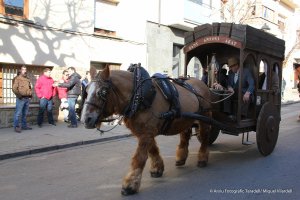 Festa dels Tonis 2015