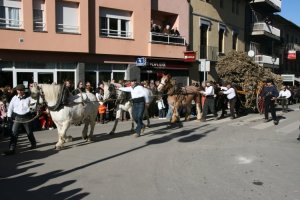 Festa dels Tonis