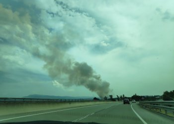 Un incendi crema unes set hectàrees a Mont-rodon
