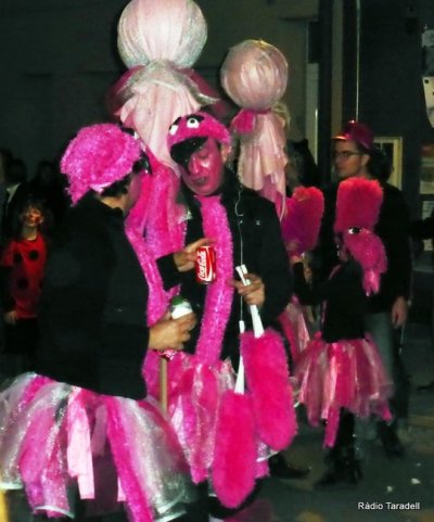 Carnaval-Taradell-14-55.jpg
