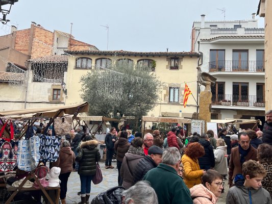 FOTOS i ÀUDIO. Centenars de persones visiten la Fira de Santa Llúcia, tot i el fred