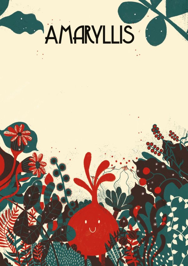 Presentació del llibre 'Amaryllis' il·lustrat per Anna Aparicio