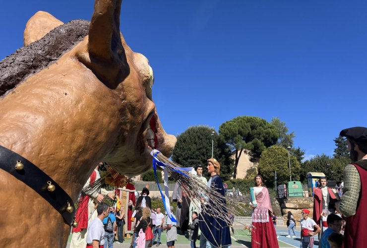 FOTOS. La Trobada de Gegants celebra 30 anys