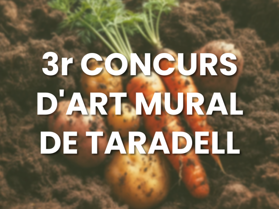 3r Concurs d'Art Mural — 2024